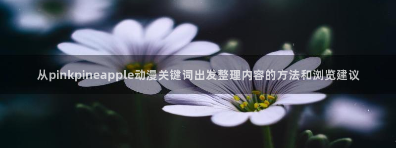 新番动画推荐