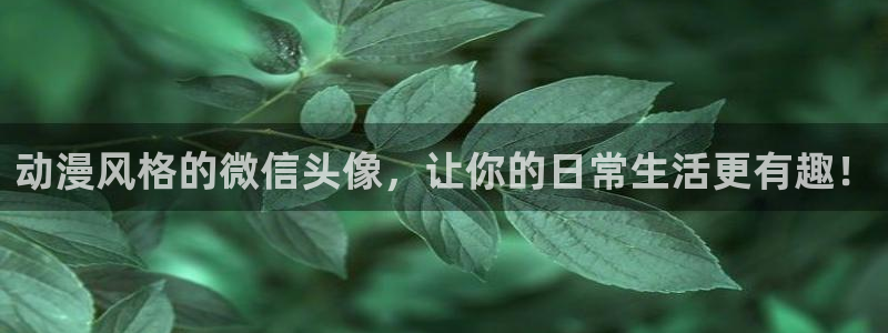 国产动漫排行榜