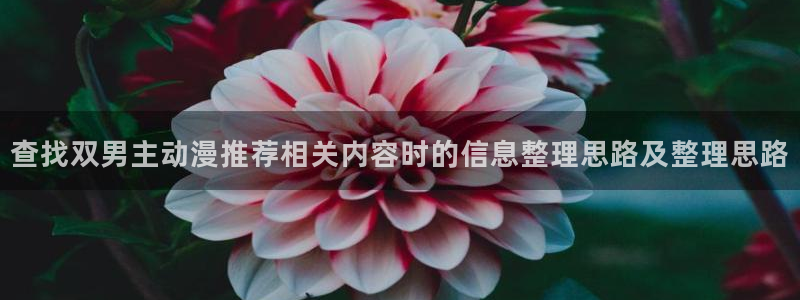 值得追的动漫