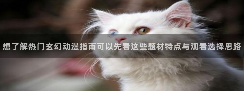 必看动漫